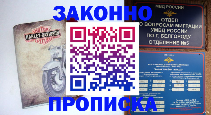 прописка для школы в Лукоянове